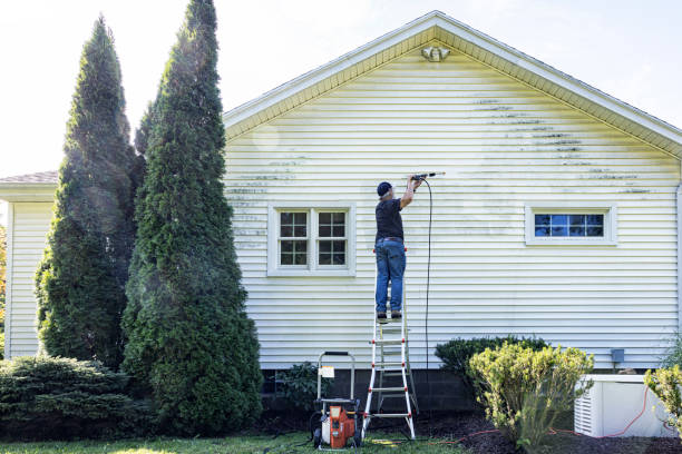 Best Roof Power Washing Services  in Valrico, FL