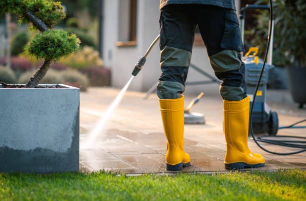 Best Local Pressure Washing Services  in Valrico, FL